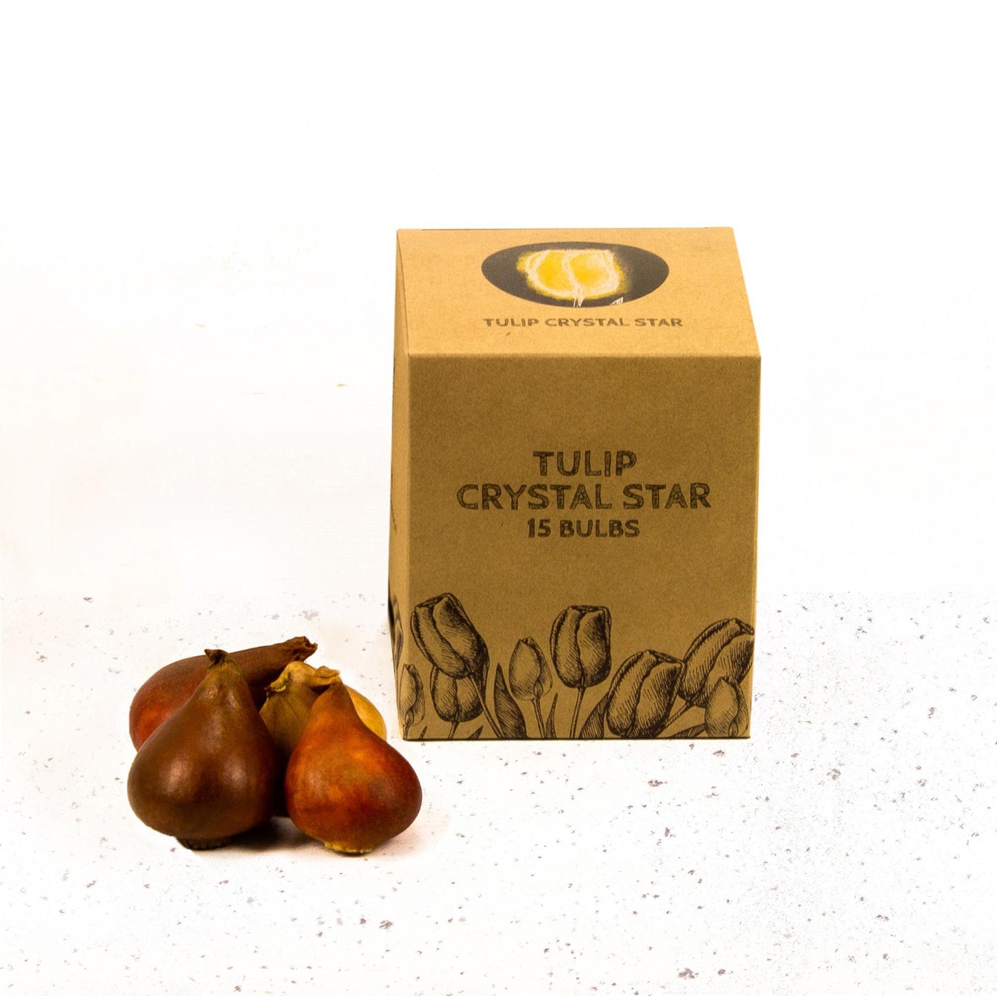 Tulp Crystal Star - 15 bloembollen