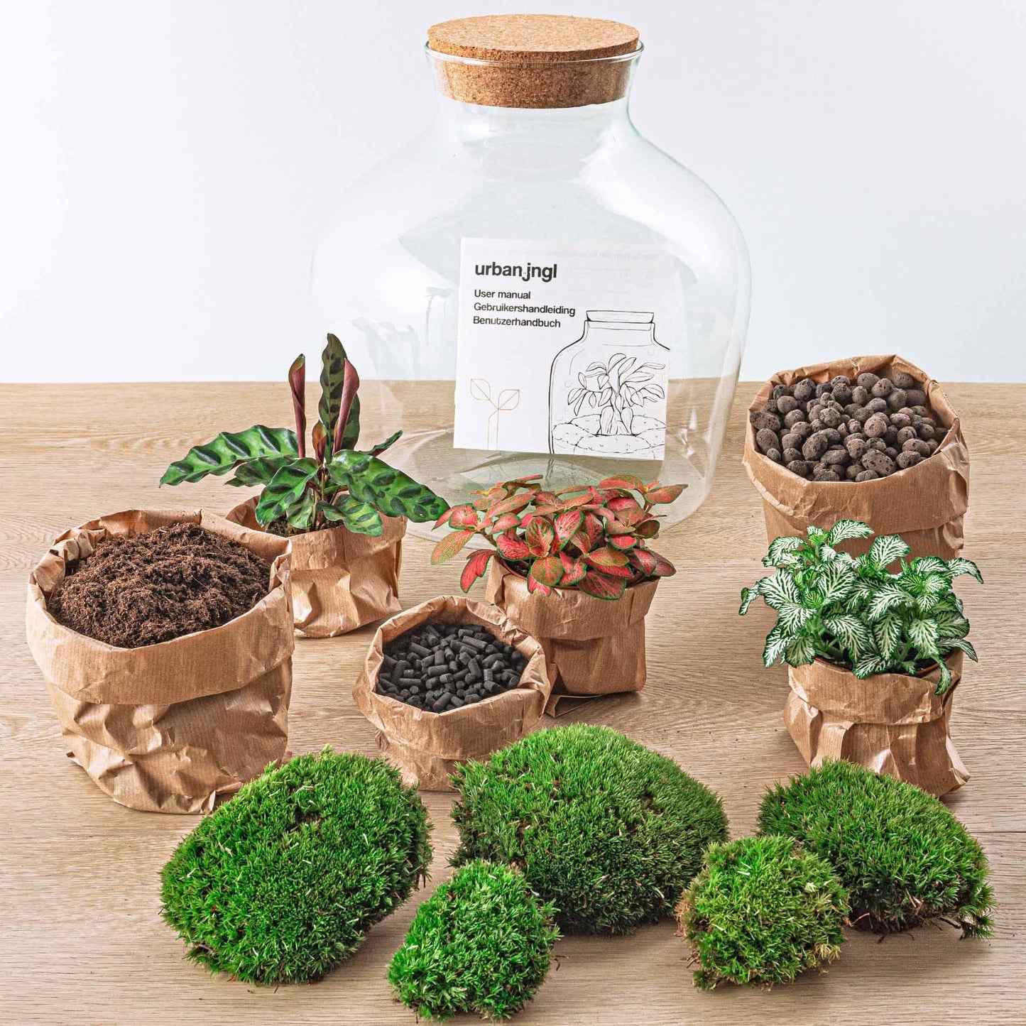 DIY terrarium Fat Joe Rood - ↨30cm - Ø29cm
