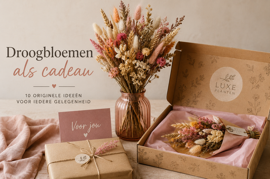 Droogbloemen als cadeau 10 originele ideeën voor iedere gelegenheid
