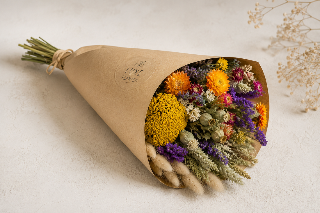 Droogbloemen kopen waar let je op voor de mooiste droogbloemen