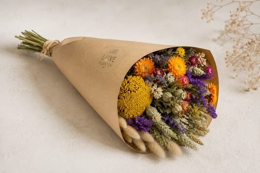 Droogbloemen kopen waar let je op voor de mooiste droogbloemen