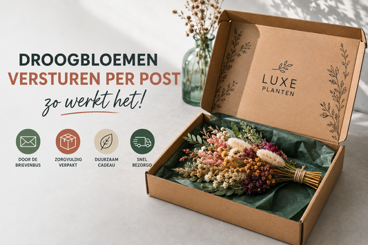 Droogbloemen versturen per post