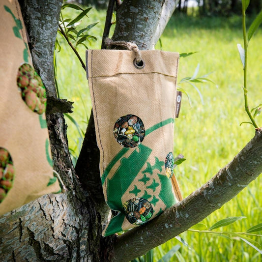 Voedingsbehoeften en zorg voor koolmezen en pimpelmezen in jouw tuin