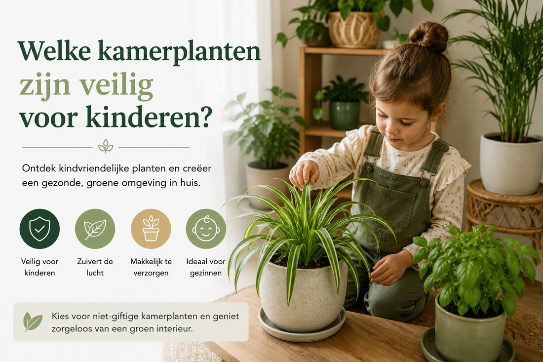 Welke kamerplanten zijn veilig voor kinderen