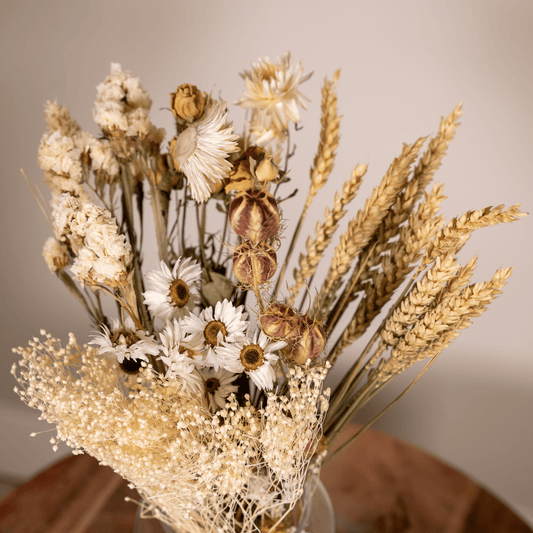 Wat zijn droogbloemen? Alles wat je moet weten