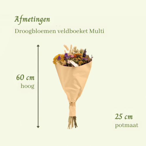 Droogbloemen veldboeket Multi - ↨60cm - Ø25cm