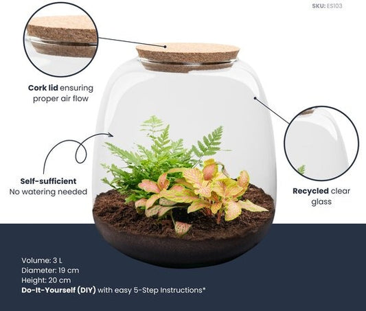 Emma Mini - Fittona Ruby Lime - DIY planten Terrarium - ↨20cm - Ø19cm