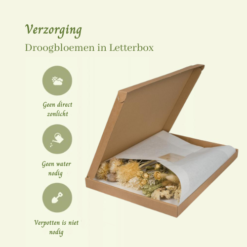 Droogbloemen in Letterbox Natural