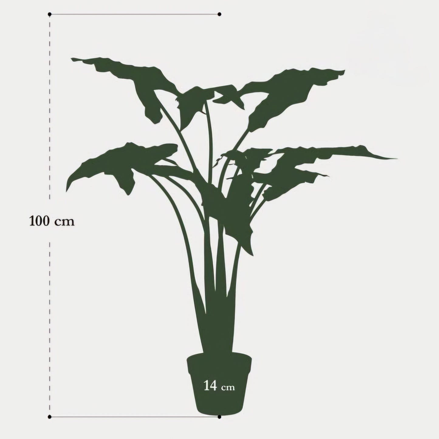 Alocasia Frydek - Olifantsoor - Kunstplant - ↨100cm