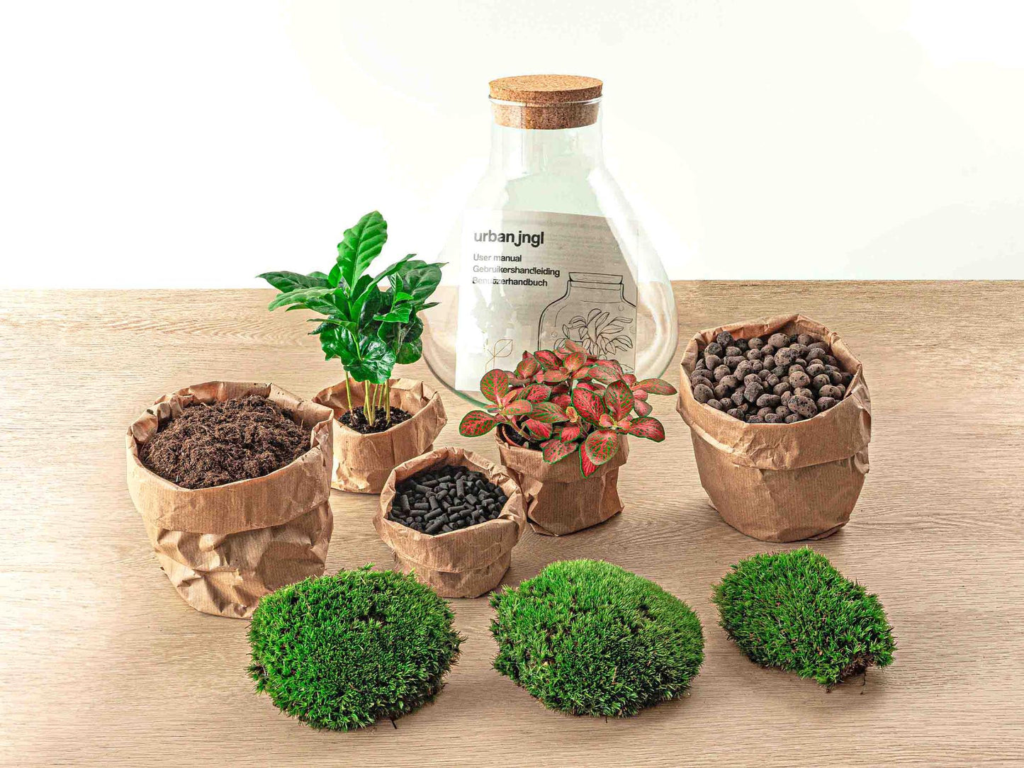 DIY terrarium - Sammie Coffea - ↨26cm - Ø22.5cm