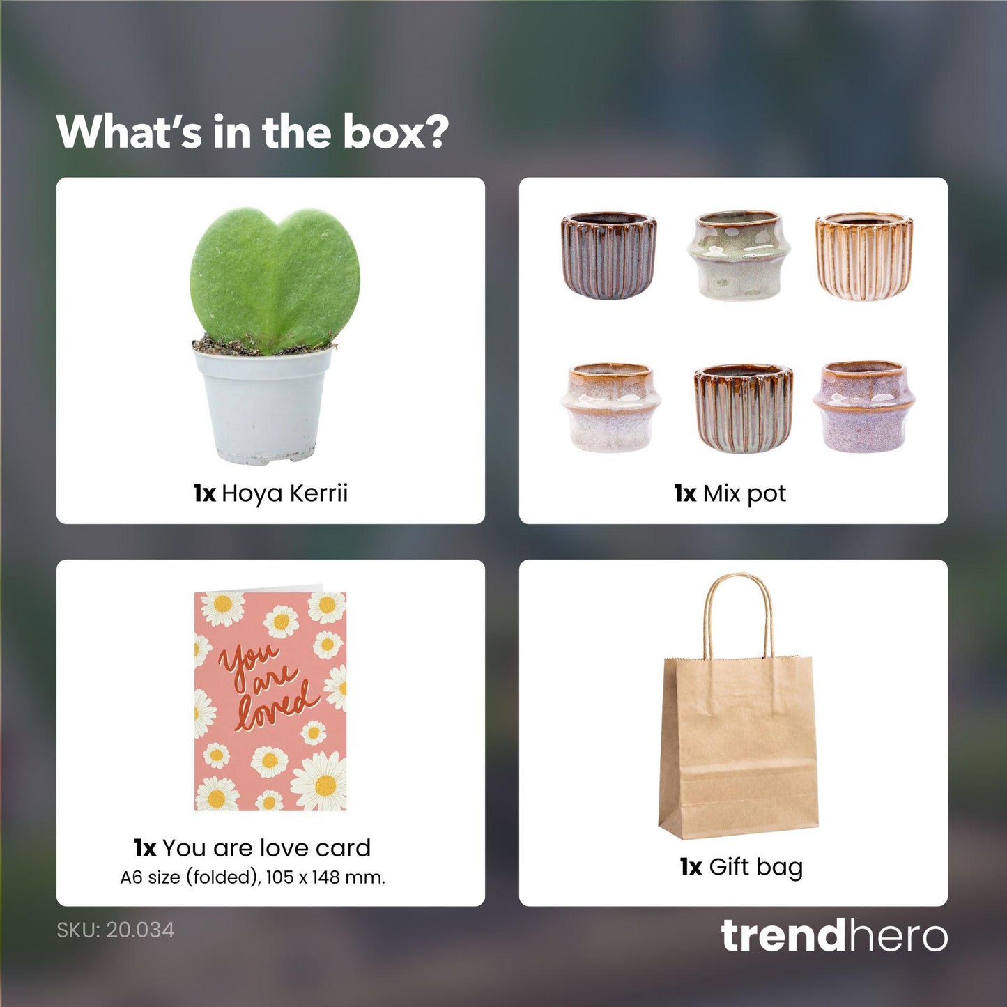 Love cadeauset met hartjesplant - Pot, Kaart & Cadeautasje
