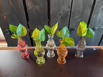 Mix in Venice Glas - 1 stuk - ↨20cm - Ø7cm