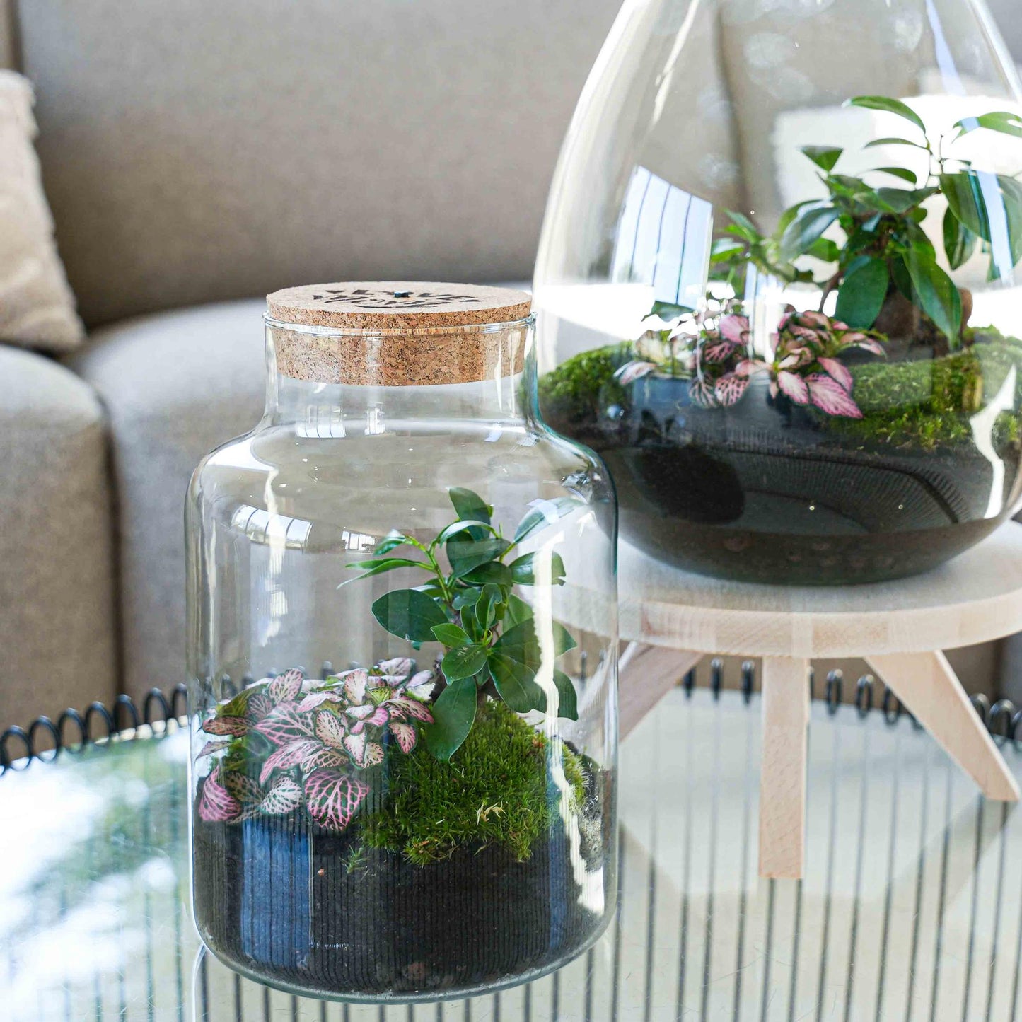 LOVE MOM Terrarium Little Milky met LED Verlichting - Moederdag Cadeau - ↨25cm - Ø17cm