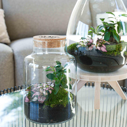 LOVE MOM Terrarium Little Milky met LED Verlichting - Moederdag Cadeau - ↨25cm - Ø17cm