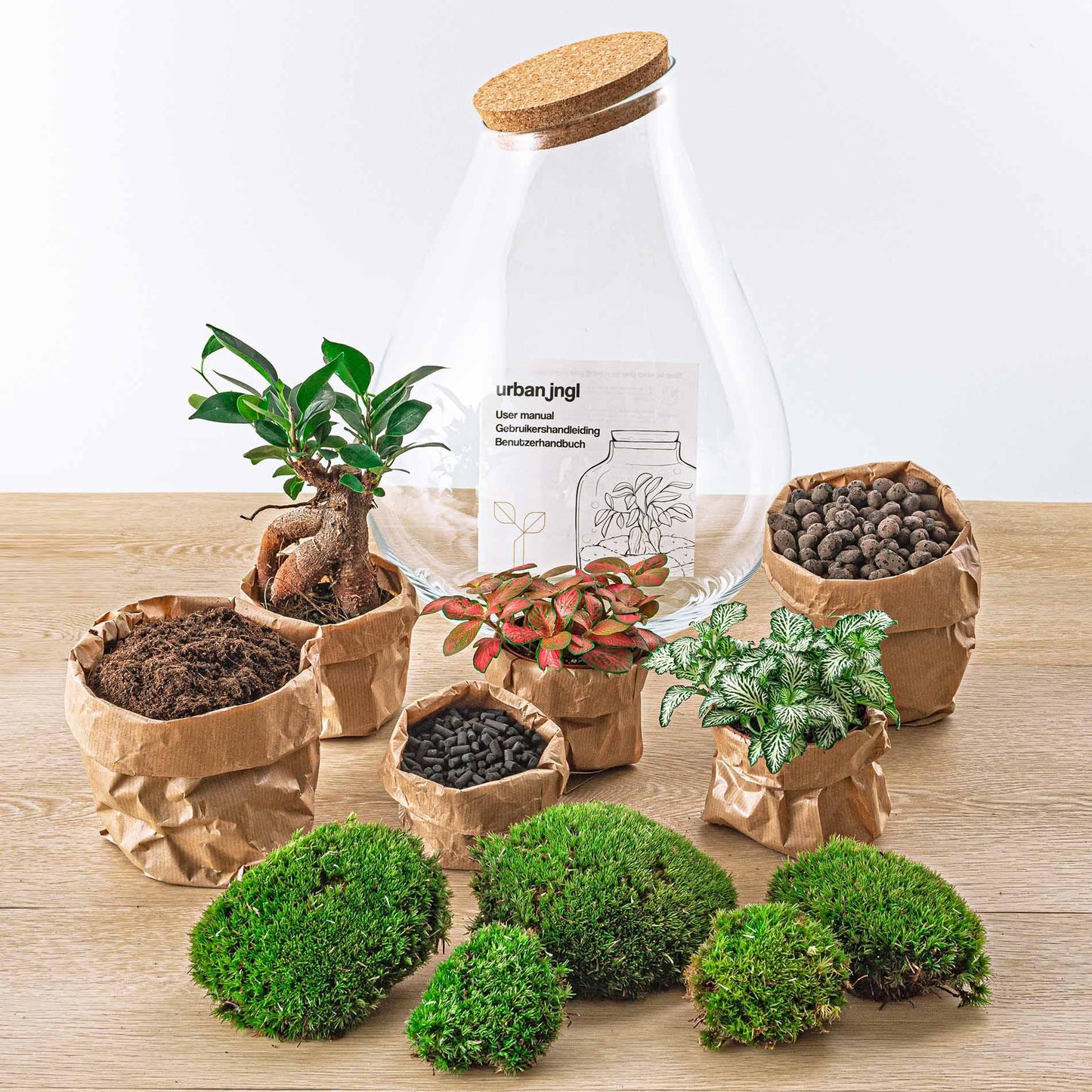 DIY terrarium - Drop XL Bonsai -↨37cm - Ø29cm