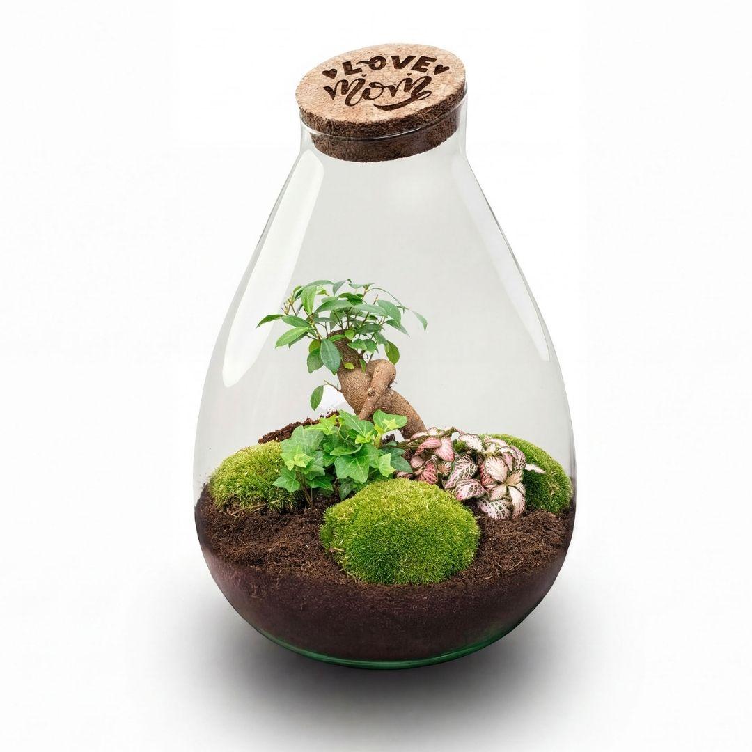 LOVE MOM Terrarium Drop XL - Gegraveerde Kurk - Moederdag Cadeau - ↨37cm - Ø24cm