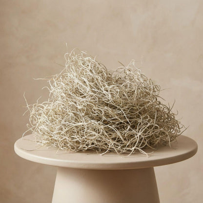 Gedroogd Tillandsia Mos – 1L – Decoratief Spaans mos