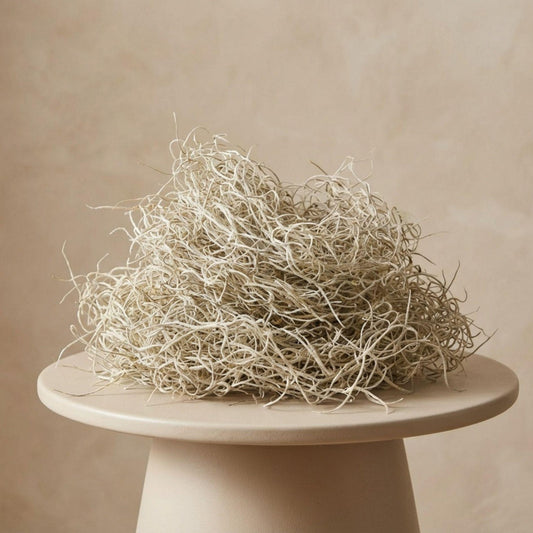 Gedroogd Tillandsia Mos – 1L – Decoratief Spaans mos