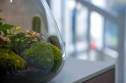 LOVE MOM Terrarium Sam met LED verlichting - Moederdag cadeau - ↨30cm - Ø24.5cm