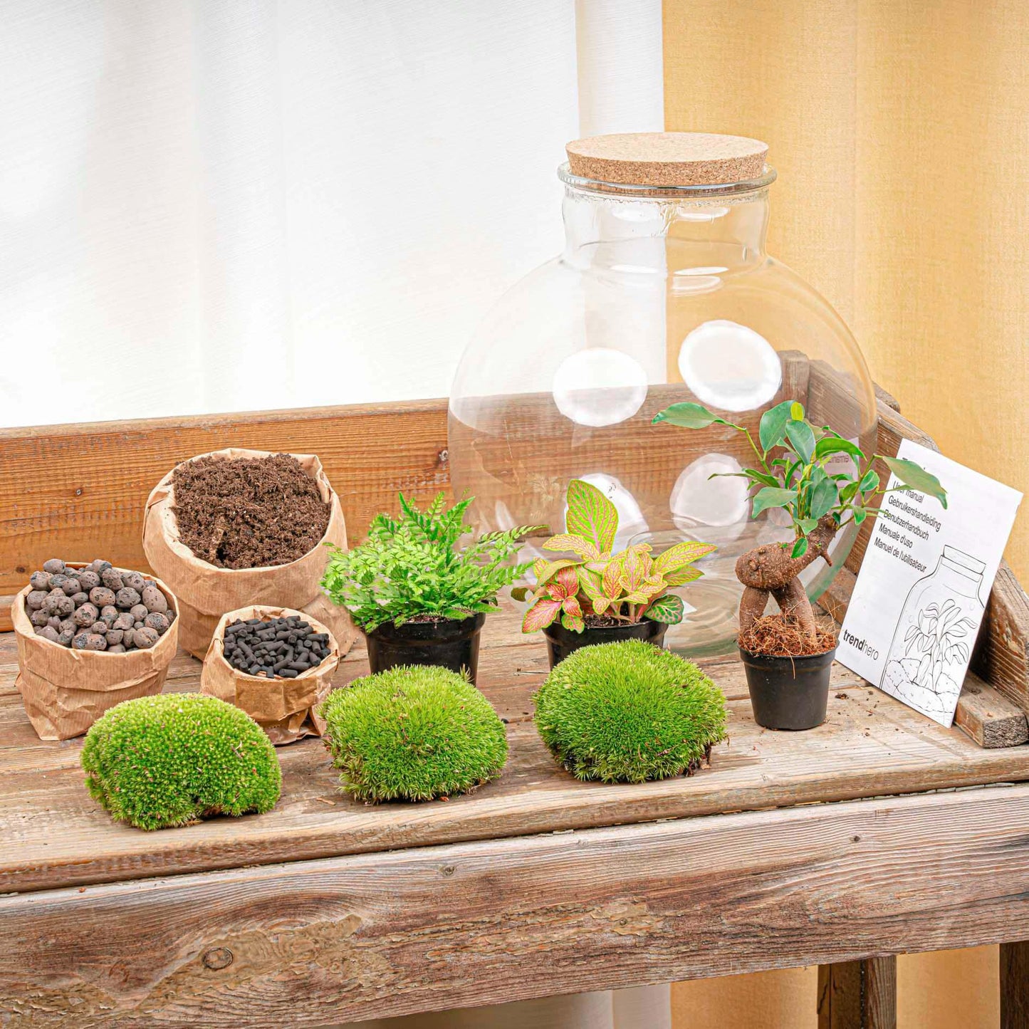DIY terrarium - Bolder Bob Bonsai + LED
