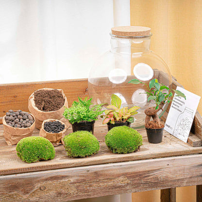 DIY terrarium - Bolder Bob Bonsai + LED