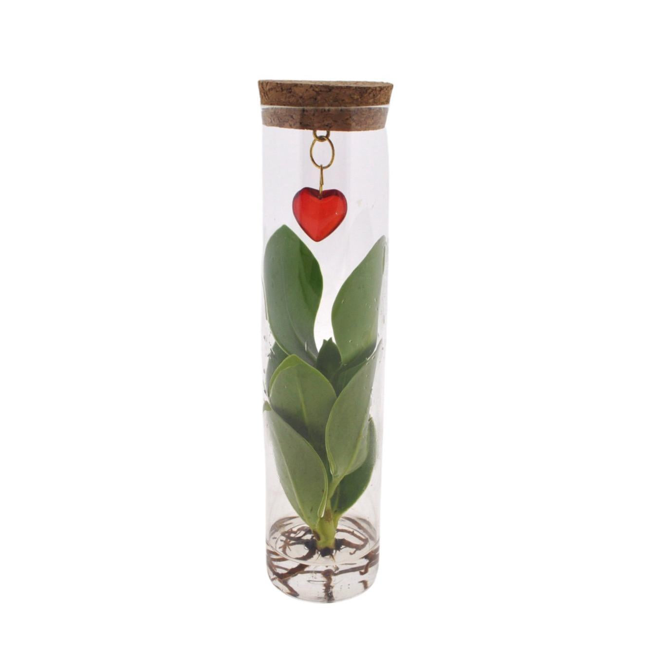 Mix In Tube Glas + Jewel (hartje) - ↨15cm - Ø7cm