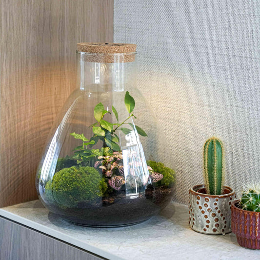 LOVE MOM Terrarium Sam met LED verlichting - Moederdag cadeau - ↨30cm - Ø24.5cm