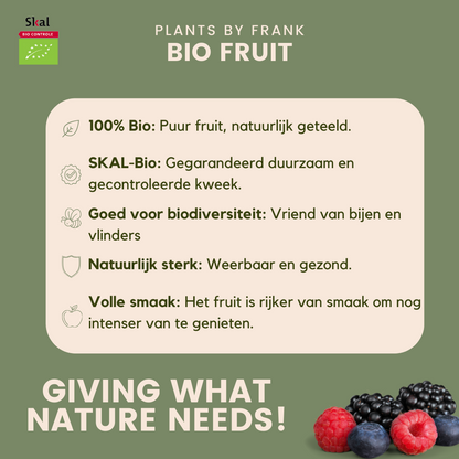 Biologische kiwiplanten - 6 stuks - ↨20cm - Ø13cm