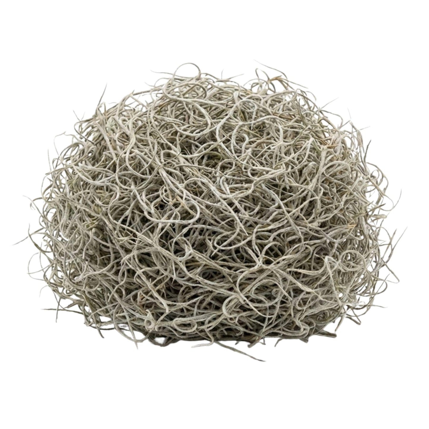 Gedroogd Tillandsia Mos – 1L – Decoratief Spaans mos