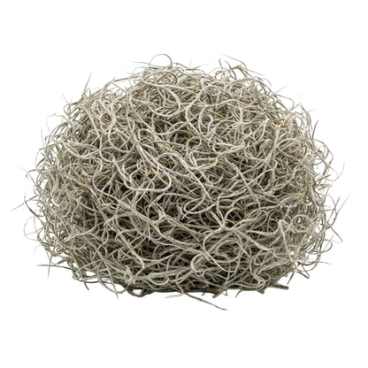 Gedroogd Tillandsia Mos – 1L – Decoratief Spaans mos