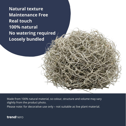 Gedroogd Tillandsia Mos – 1L – Decoratief Spaans mos