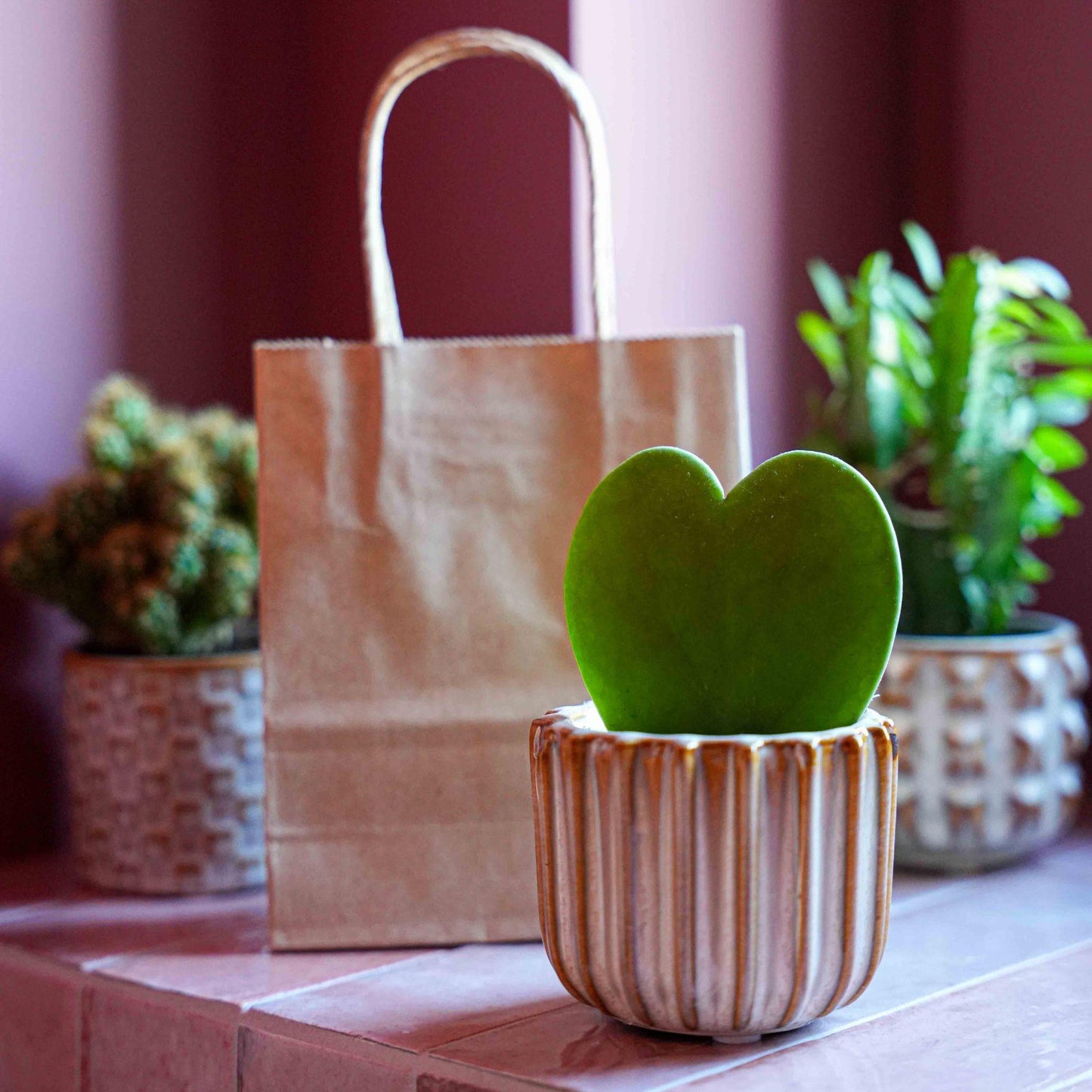 Love cadeauset met hartjesplant - Pot, Kaart & Cadeautasje