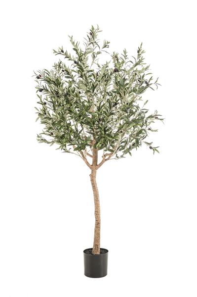 Olijfboom -  Olea europaea - Kunstplant - ↨180cm