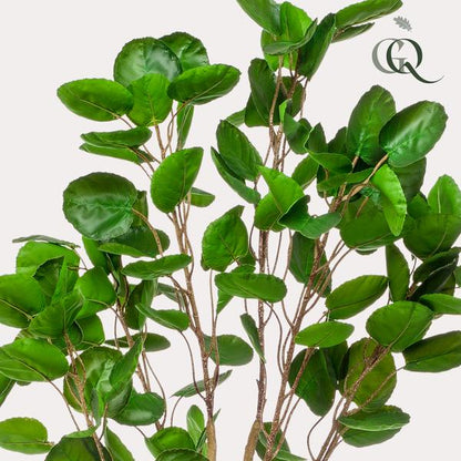 Polyscias - Aralia - Kunstplant - ↨150cm
