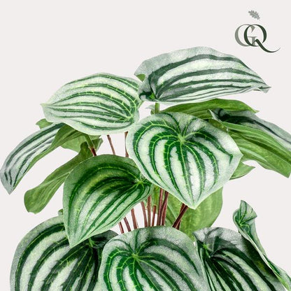 Peperomia Argyreia - Watermelon - Kunstplant - ↨25cm