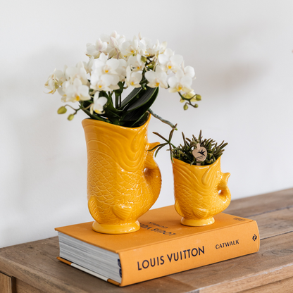 Set van witte orchidee Nazaré en succulent in Fish sierpot oranje - potmaat Ø9cm & Ø6cm