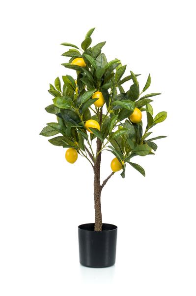 Citrus Limonia - Citroenboom - Kunstplant - ↨75 cm