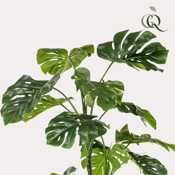 Monstera - Gatenplant - Kunstplant - ↨180cm