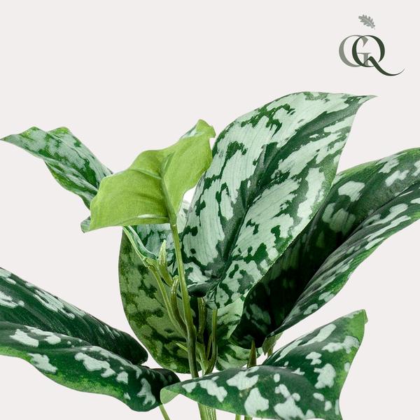 Scindapsus Pictus - Geluksplant - Kunstplant - ↨30cm