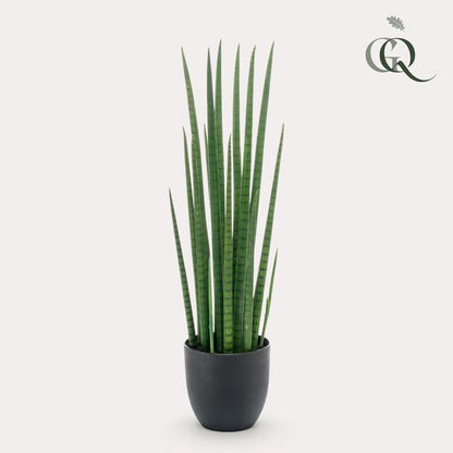 Sanseveria Cylindrica - Vrouwentong - Kunstplant - ↨70 cm