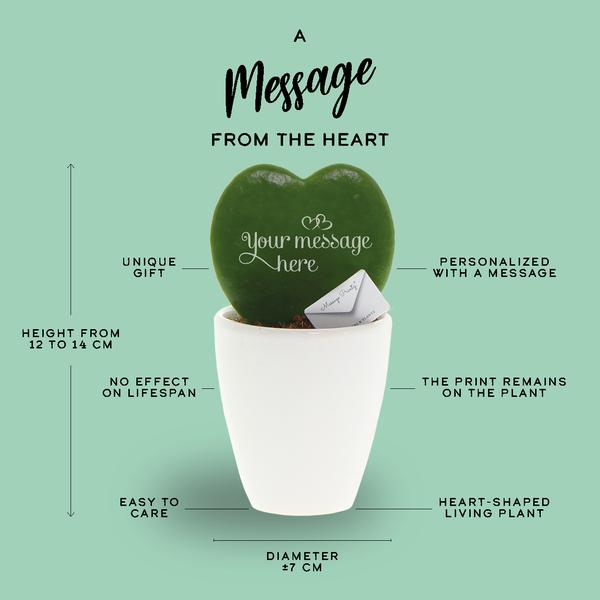 Hoya (hartjeslant) | I love you