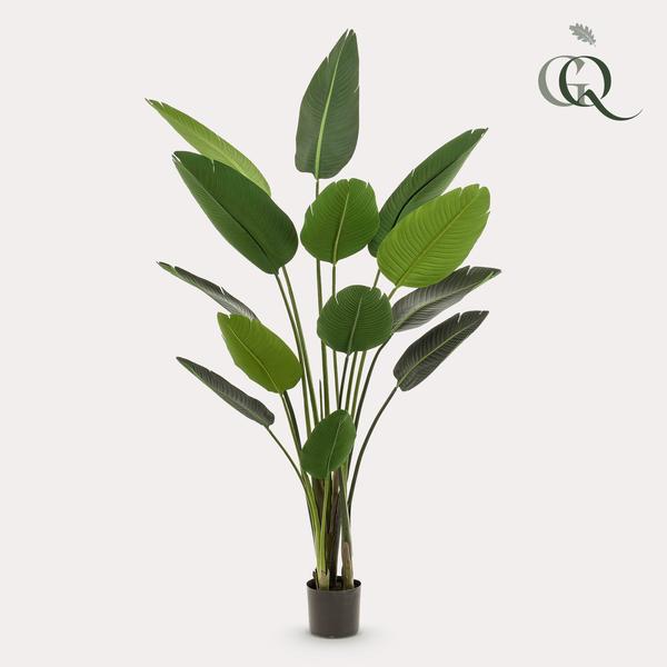Strelitzia Nicolai - Paradijsvogelbloem - Kunstplant - ↨190 cm