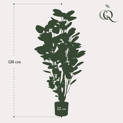 Polyscias - Aralia - Kunstplant - ↨105cm