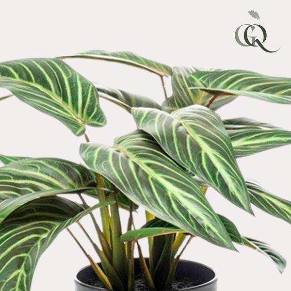 Calathea Zebrina - Schaduwplant - Kunstplant - ↨38 cm