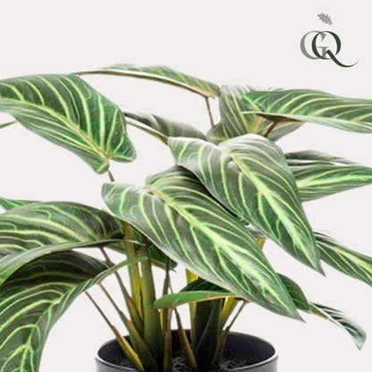 Calathea Zebrina - Schaduwplant - Kunstplant - ↨38 cm