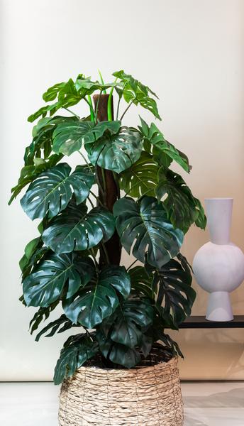 Monstera Deliciosa - kunstplant - ↨150cm