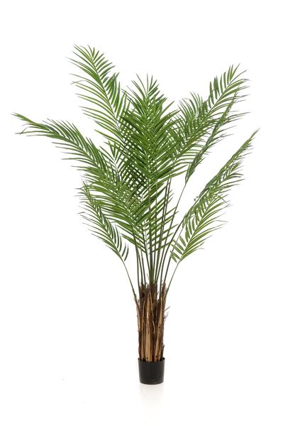Areca Lutescens - Goudpalm - Kunstplant - ↨180 cm