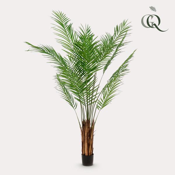 Areca Lutescens - Goudpalm - Kunstplant - ↨180 cm