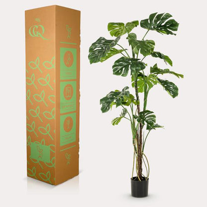 Monstera - Gatenplant - Kunstplant - ↨180cm