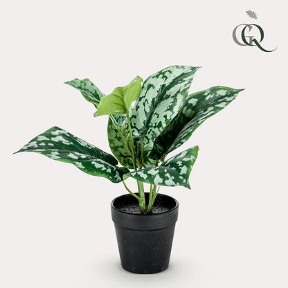 Scindapsus Pictus - Geluksplant - Kunstplant - ↨30cm